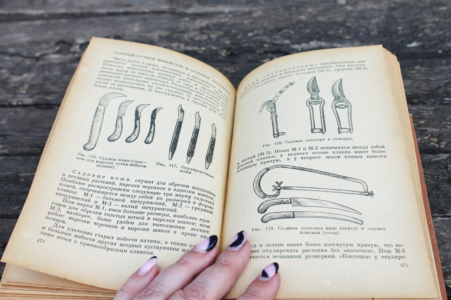 Vintage book - Fruit growing - vintage from Ukraine - 1959