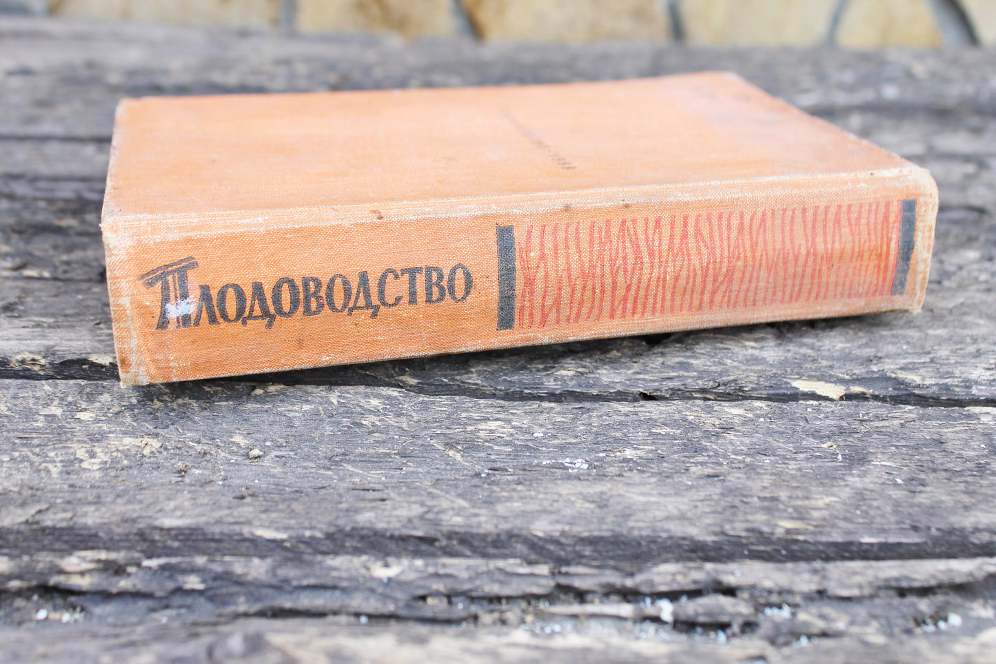 Vintage book - Fruit growing - vintage from Ukraine - 1959