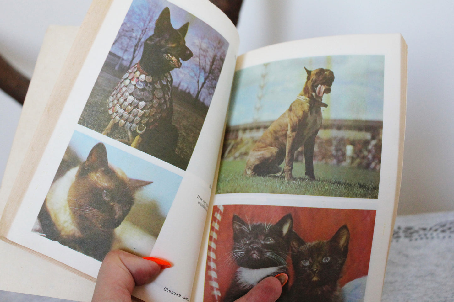 Vintage book 1994 "Pets", Tokareva, Litvinova , Sokolov. Publisher "Harvest" Kyiv, Ukraine - 1994