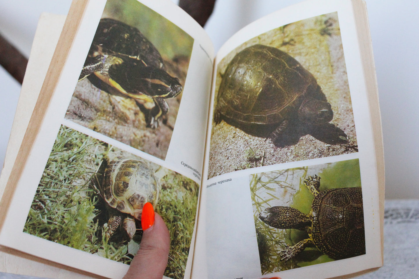 Vintage book 1994 "Pets", Tokareva, Litvinova , Sokolov. Publisher "Harvest" Kyiv, Ukraine - 1994