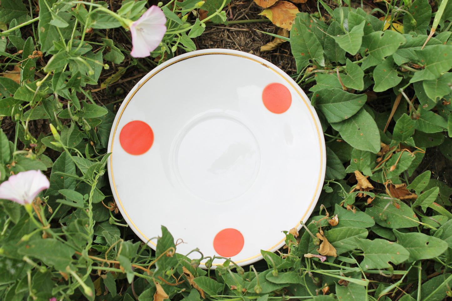 Set of two soviet polka dot vintage saucers - vintage USSR ceramic rare saucers from servise - Dovbysky Porcelain Factory - 1970s