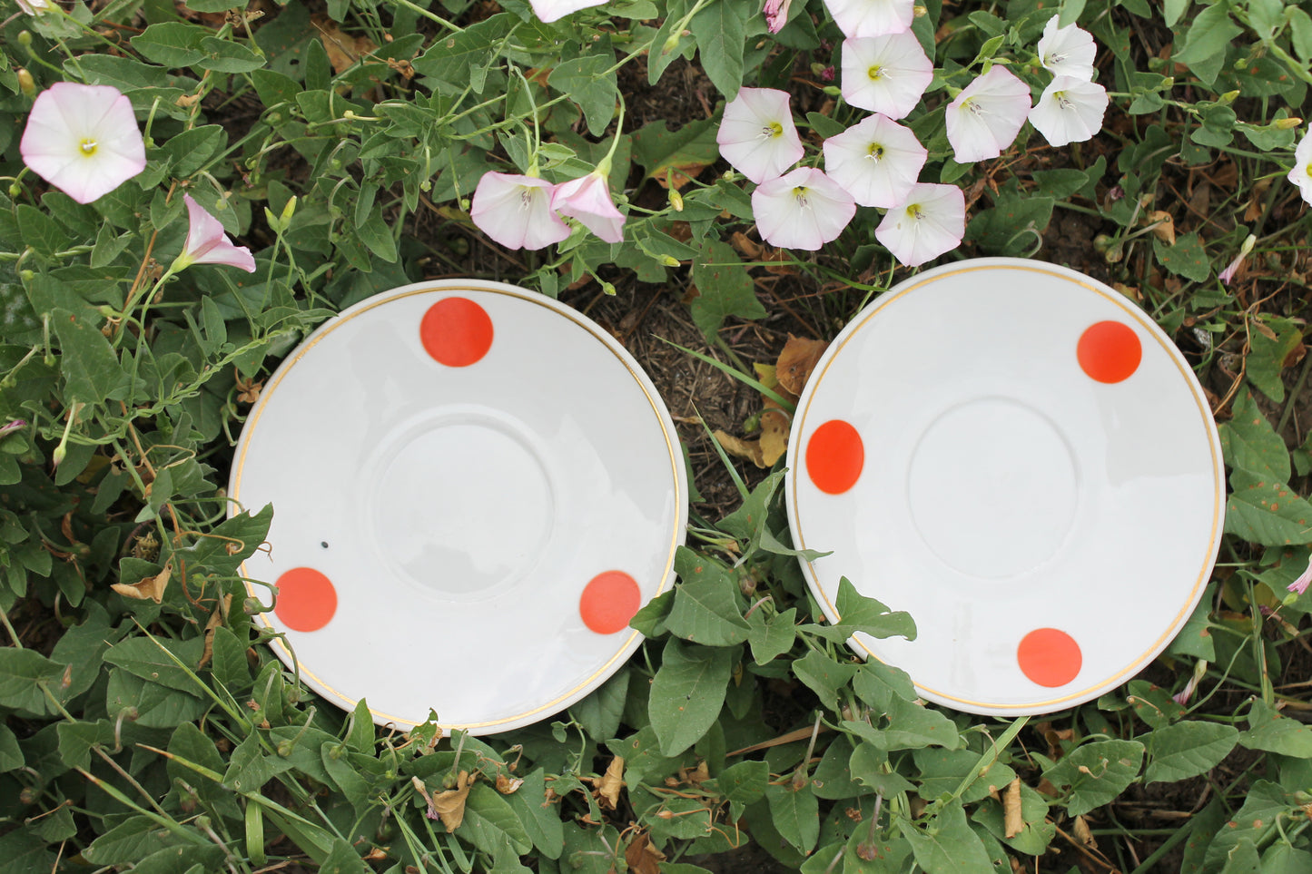Set of two soviet polka dot vintage saucers - vintage USSR ceramic rare saucers from servise - Dovbysky Porcelain Factory - 1970s