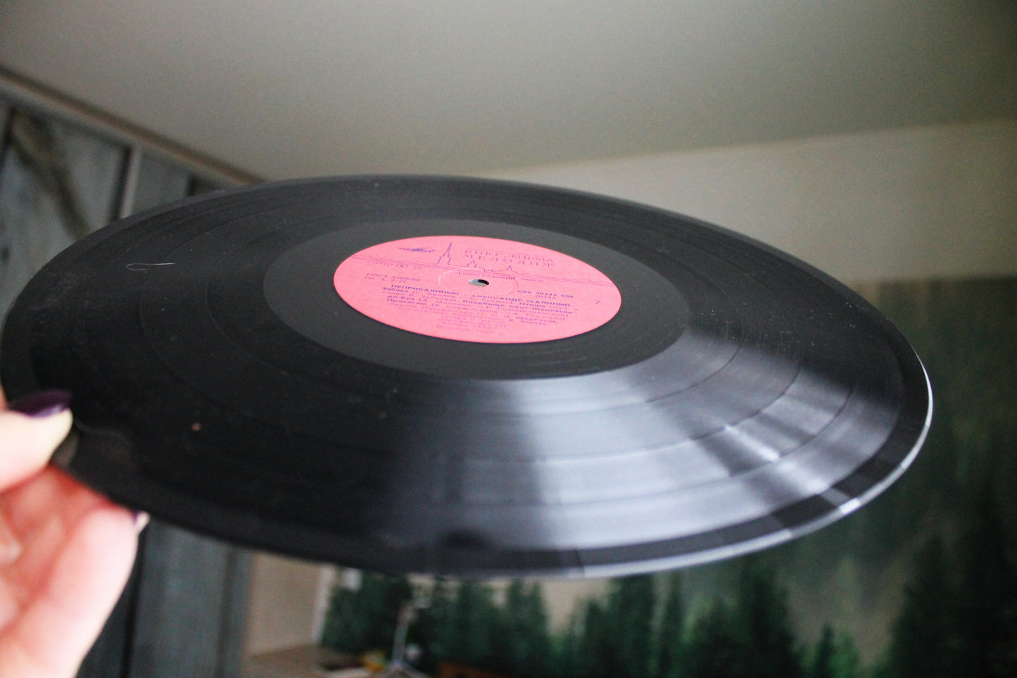 Retro music USSR plate - Alexander Malinin - The Restless - Rare retro records, Gramophone plate, Vintage vinyl - 1990 record
