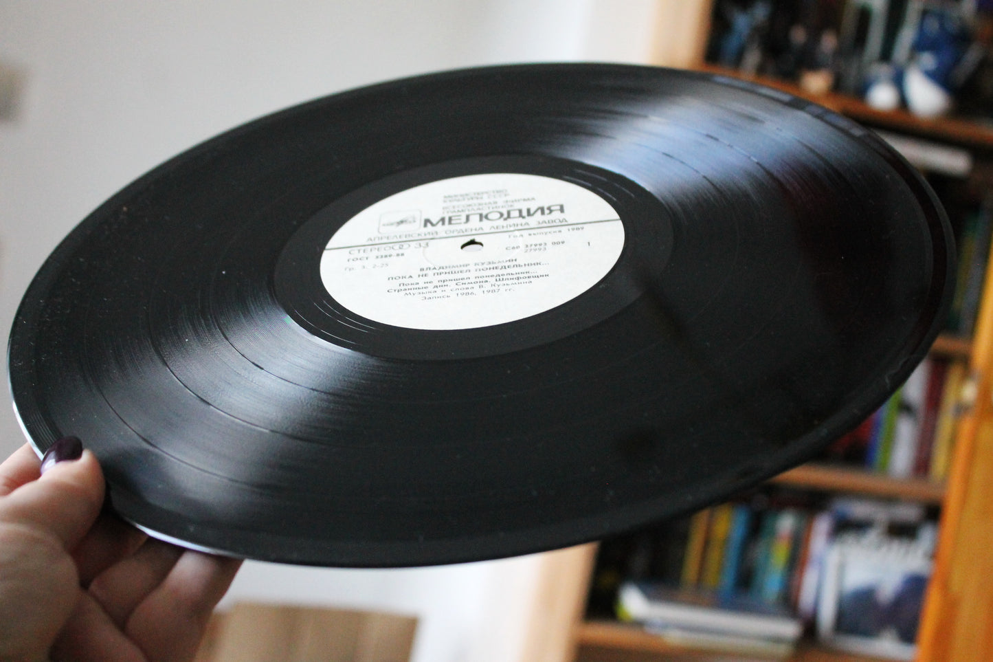 Retro music USSR plate - Volodymyr Kuzmin "Until Monday", USSR Rare retro records, Gramophone plate, Vintage vinyl - 1989