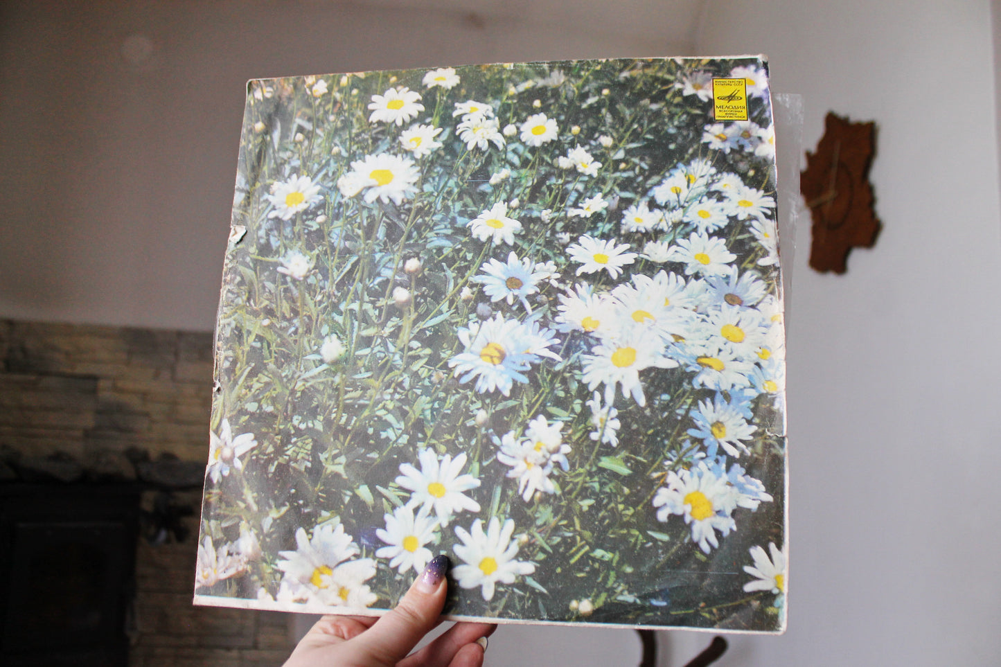 Retro music USSR plate - Teach-In (band) - Dutch band - Vintage vinyl - 1970s