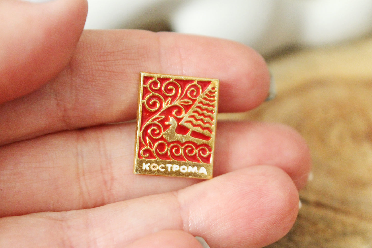 Vintage soviet USSR pin badge with bird - Kostroma - USSR pin - vintage soviet badge - 1970s