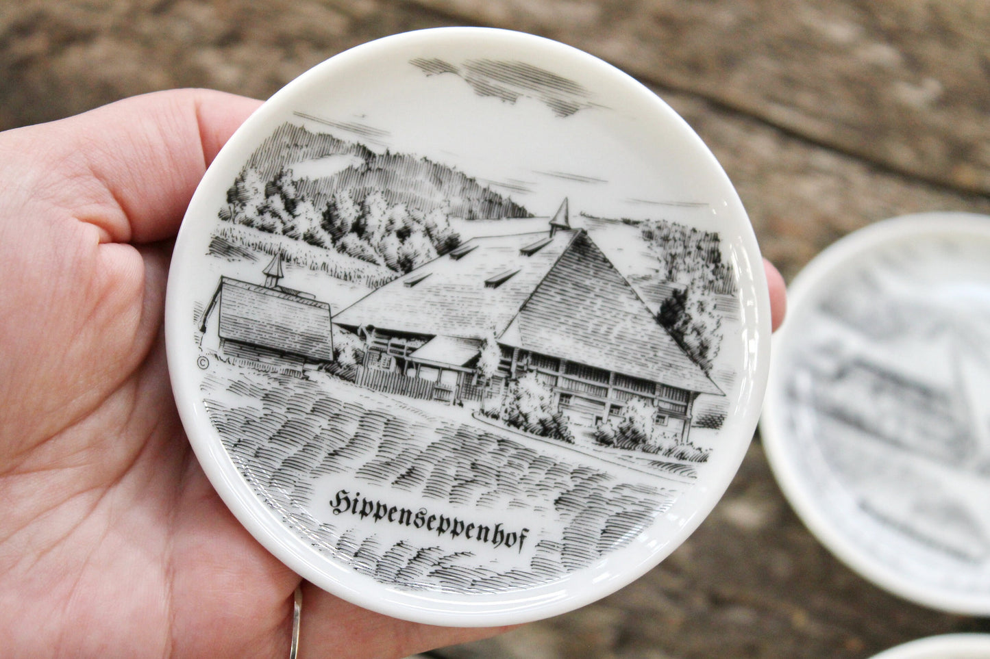 Vintage Restrained decorative trio of porcelain wall plates. Made in Germany. Set of three. Porzella