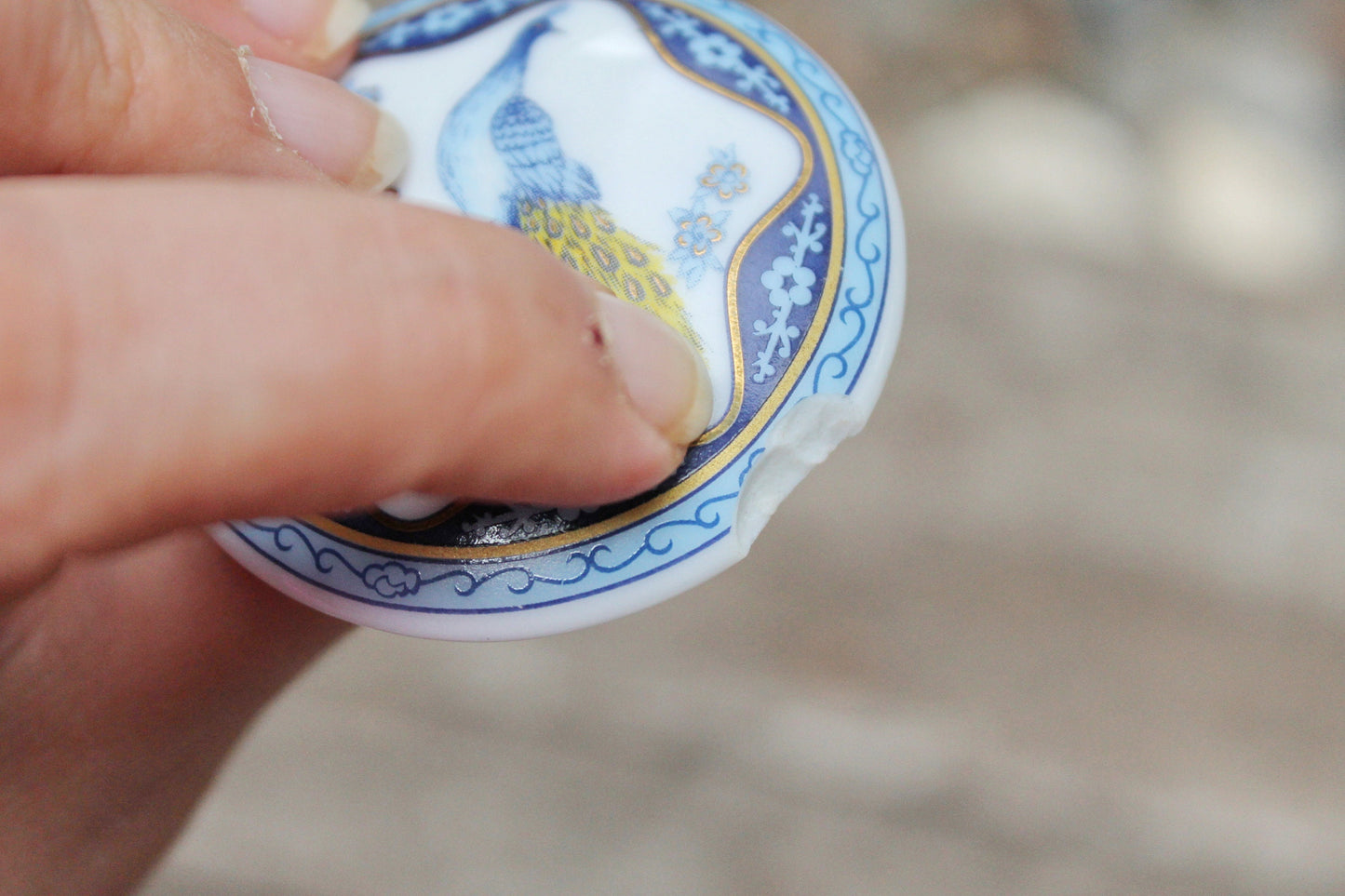 Del Prado Porcelain round Vintage Medicine box - Pill Trinket Box Continental Porcelain Decorated with Peacock by Del Prado