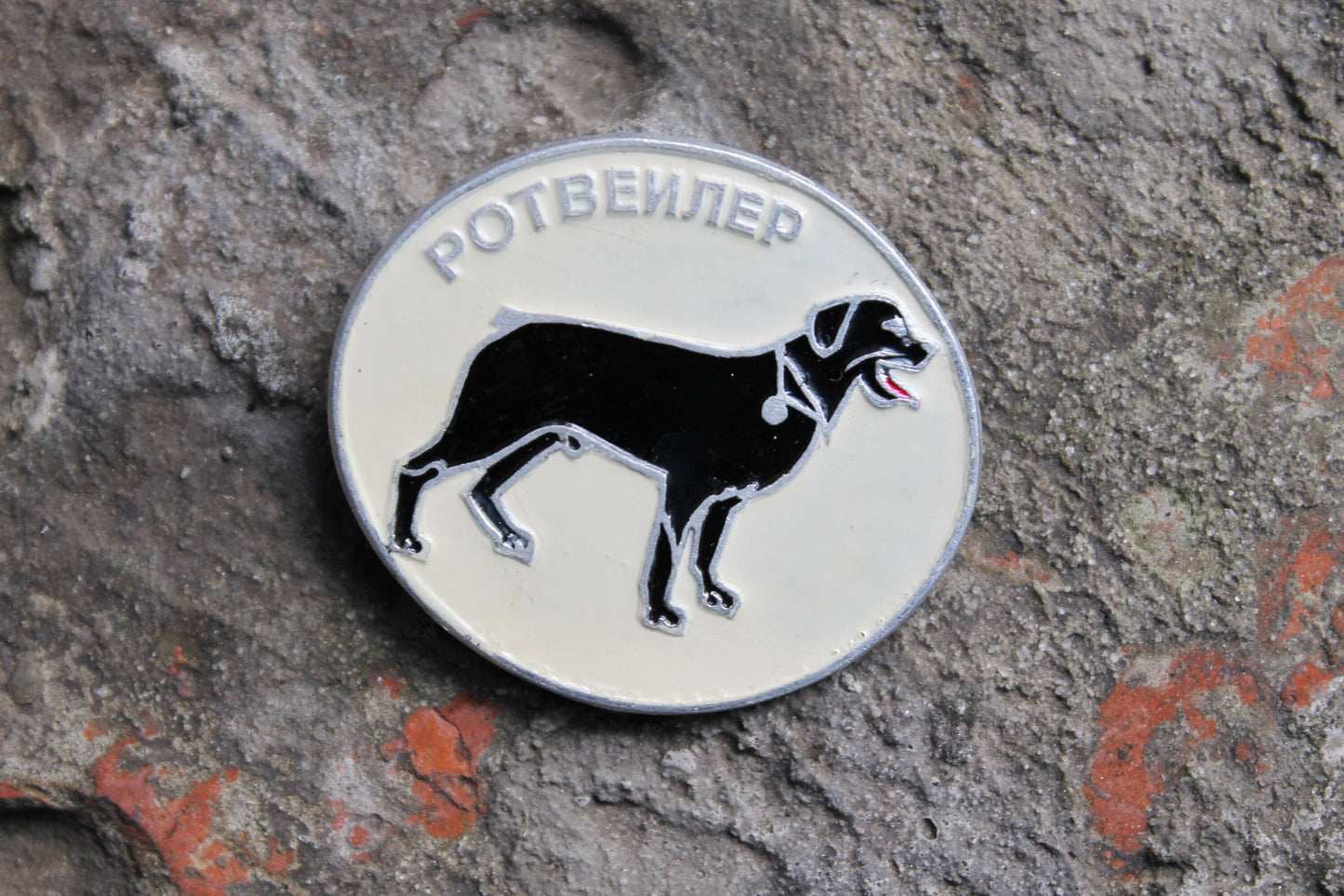 Vintage soviet USSR pin badge A Dog - Rottweiler - dog pin badge, made in USSR, 1970s