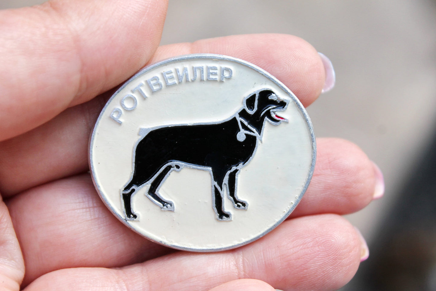 Vintage soviet USSR pin badge A Dog - Rottweiler - dog pin badge, made in USSR, 1970s