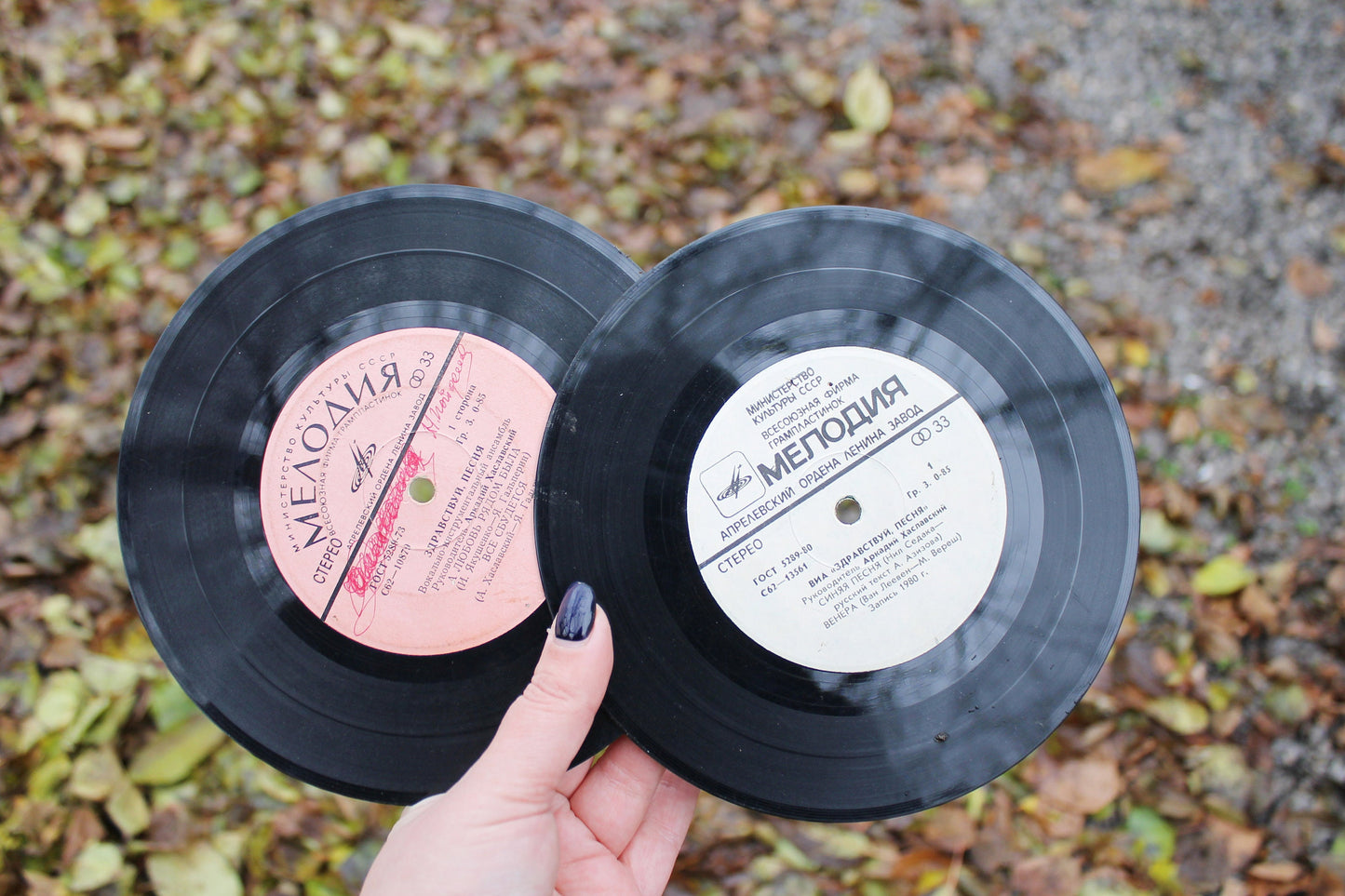 Set of two Retro music plates - sung by band "Hello, Song", Rare retro records, Gramophone plate, Retro vinyl, Vintage vinyl, Music audio