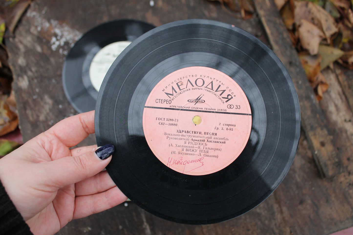 Set of two Retro music plates - sung by band "Hello, Song", Rare retro records, Gramophone plate, Retro vinyl, Vintage vinyl, Music audio