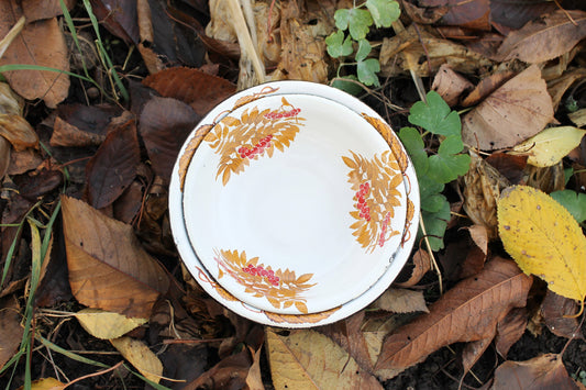 Enamel metal vintage bowls with rowanberry ornament - set of two - USSR vintage bowls - made of enamel metal - 1970s