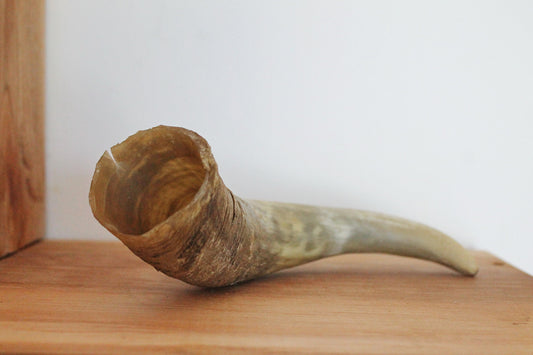 Genuine Cow Horn - 8.7 inches - Viking Wild Drinking Horn - Soviet Horn Collectibles - Natural horn