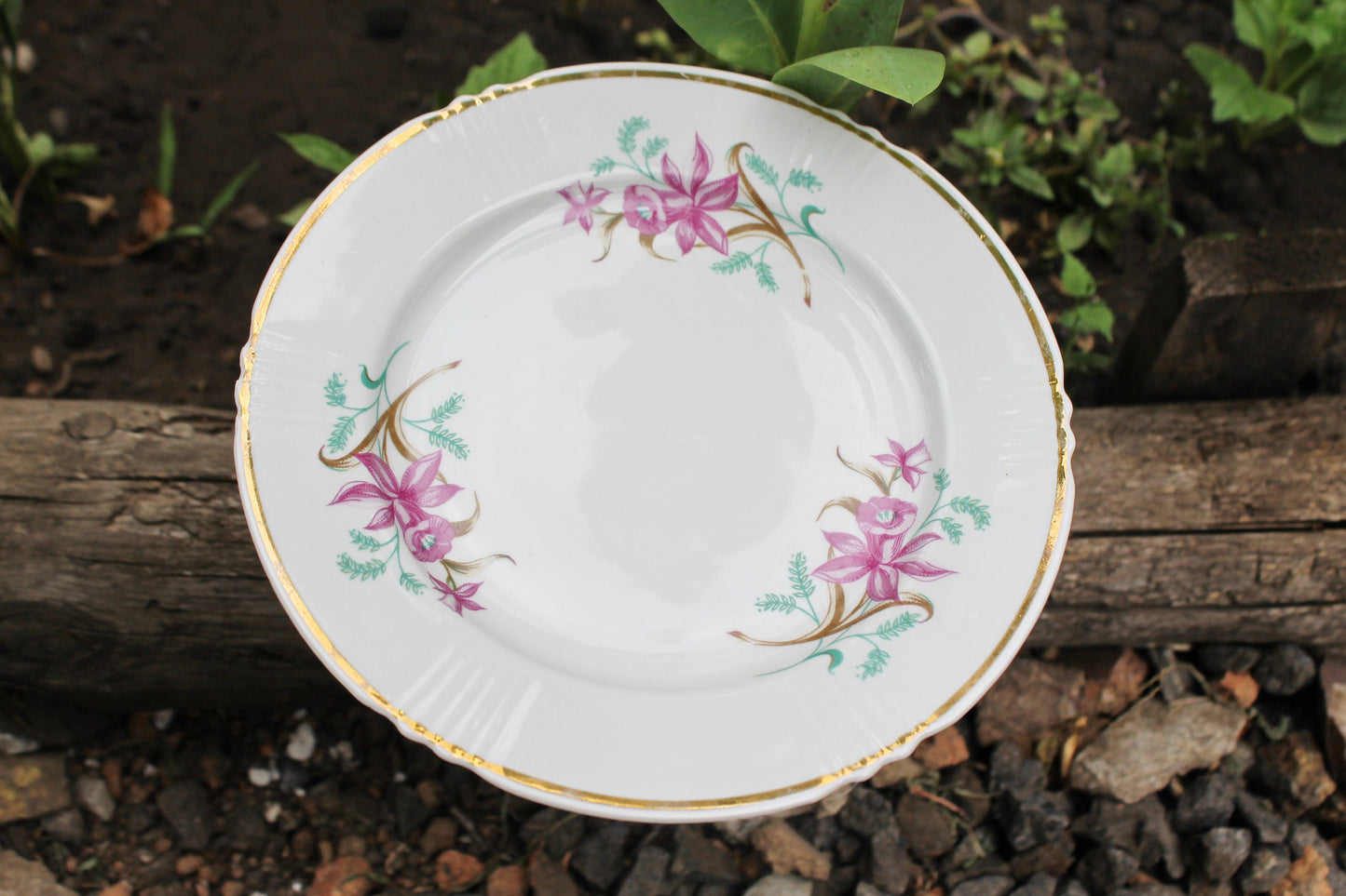 Set of 6 USSR vintage ceramic plates from servise 7.9 inches - beautiful soviet ceramic plates - 1970s
