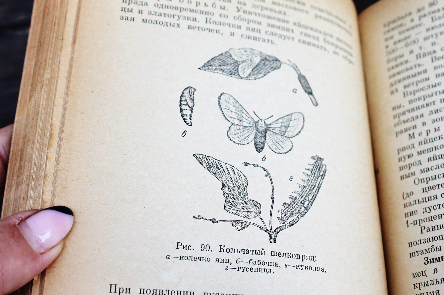 Vintage book - Fruit growing - vintage from Ukraine - 1959