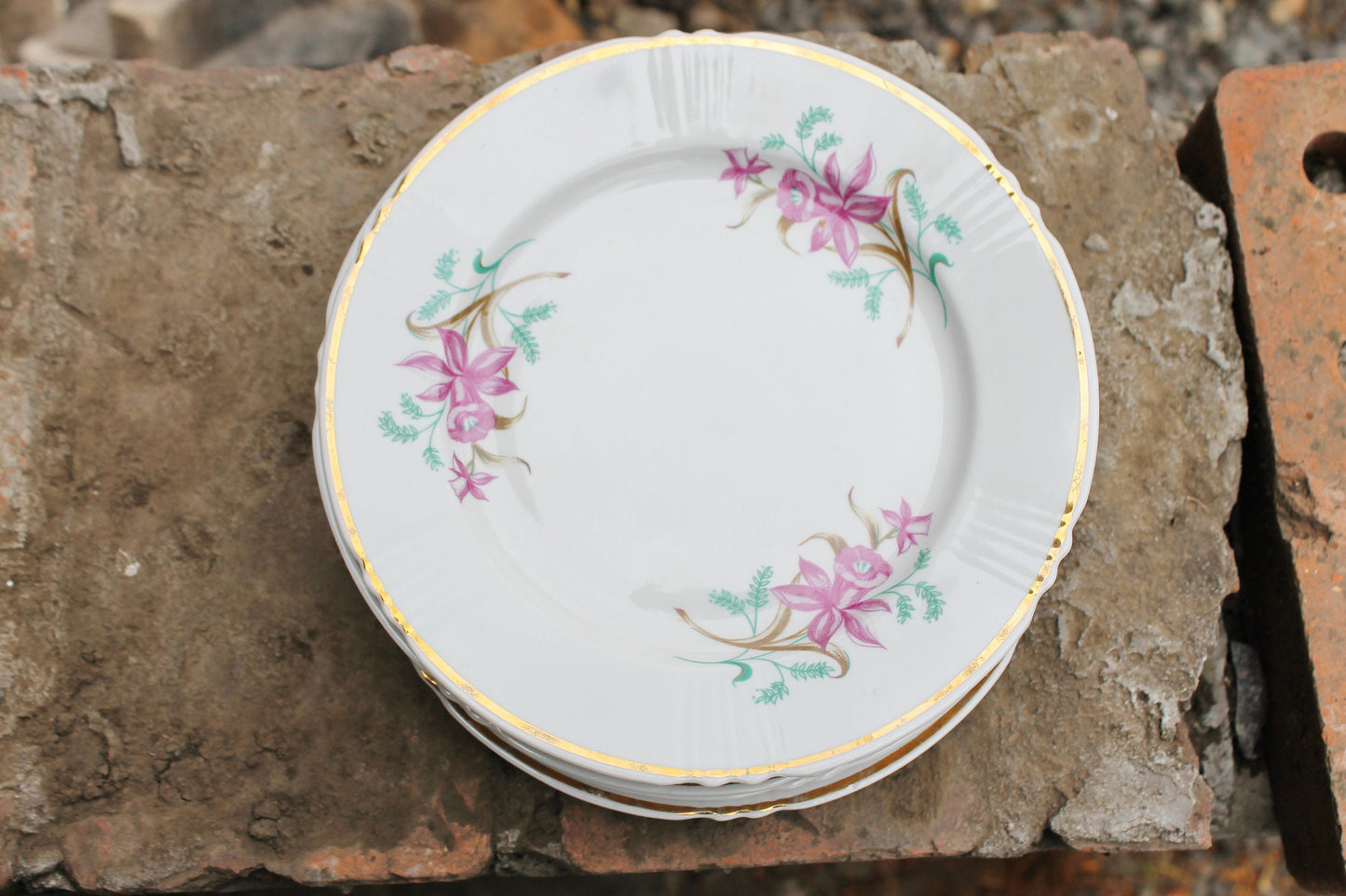 Set of 6 USSR vintage ceramic plates from servise 7.9 inches - beautiful soviet ceramic plates - 1970s