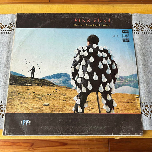 Pink Floyd – “Delicate Sound of Thunder” Vintage 1988 Vinyl LP - Licensed by EMI UK - Soviet-Era Release by RiTonis