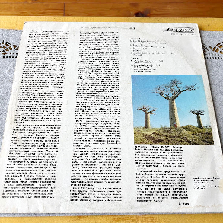 Pink Floyd – “Delicate Sound of Thunder” Vintage 1988 Vinyl LP - Licensed by EMI UK - Soviet-Era Release by RiTonis