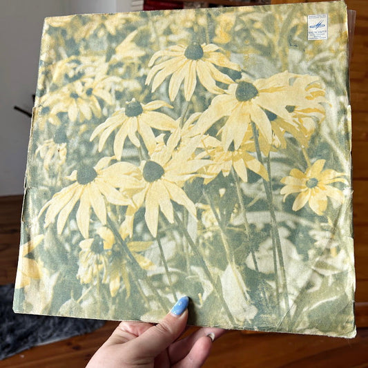 Vintage Vinyl Record 1973 – “Amber Pair” Ballroom Dance Music from Soviet Union – Octava Orchestra