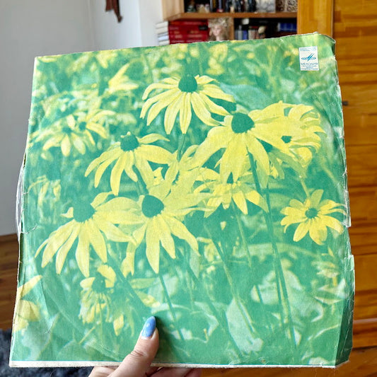 Vintage Vinyl LP Estrada Orbit Pop Cover Songs Compilation Album Record - 1970s