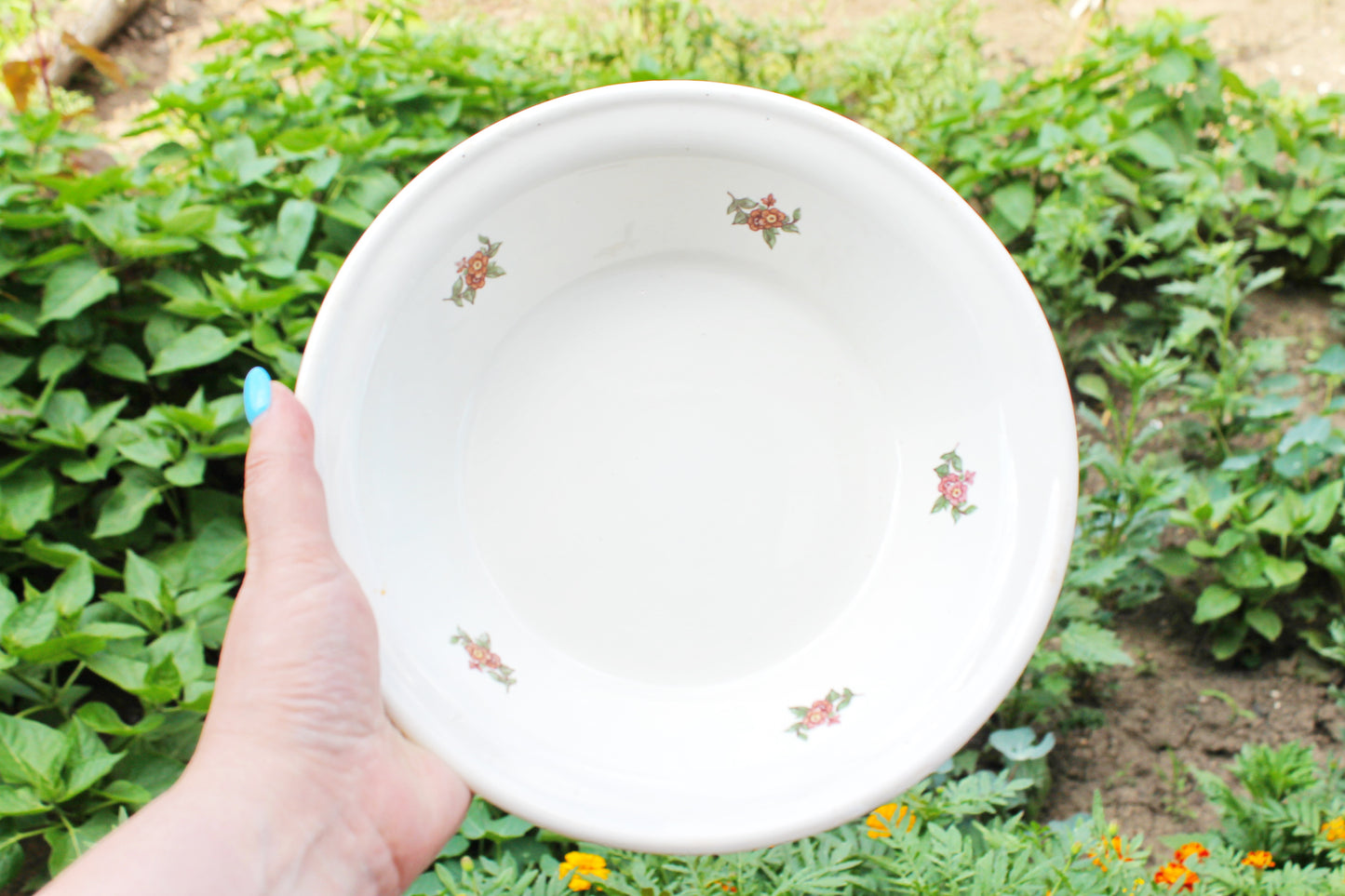 Beautiful vintage ceramic big plate with flowers 9.1 inches - Budy Porcelain Factory - beautiful ukrainian ceramic plate - 1960s