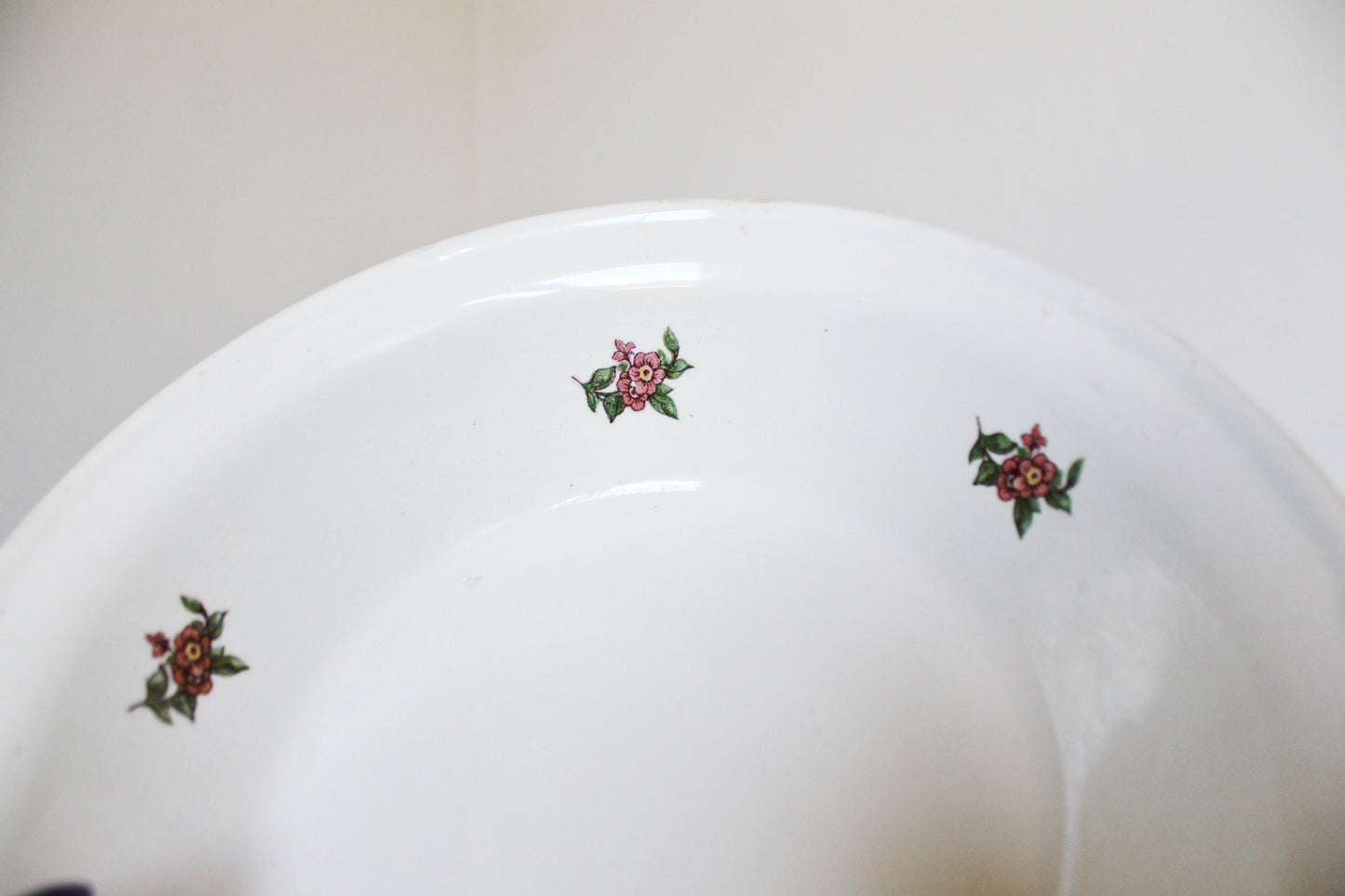 Beautiful vintage ceramic big plate with flowers 9.1 inches - Budy Porcelain Factory - beautiful ukrainian ceramic plate - 1960s