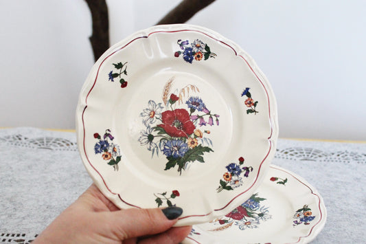 Beautiful vintage ceramic two plates with flowers - French Antique EARTHWARE Plate - Made by Sarreguemines DIGION in "Agreste" Motif - 1920s