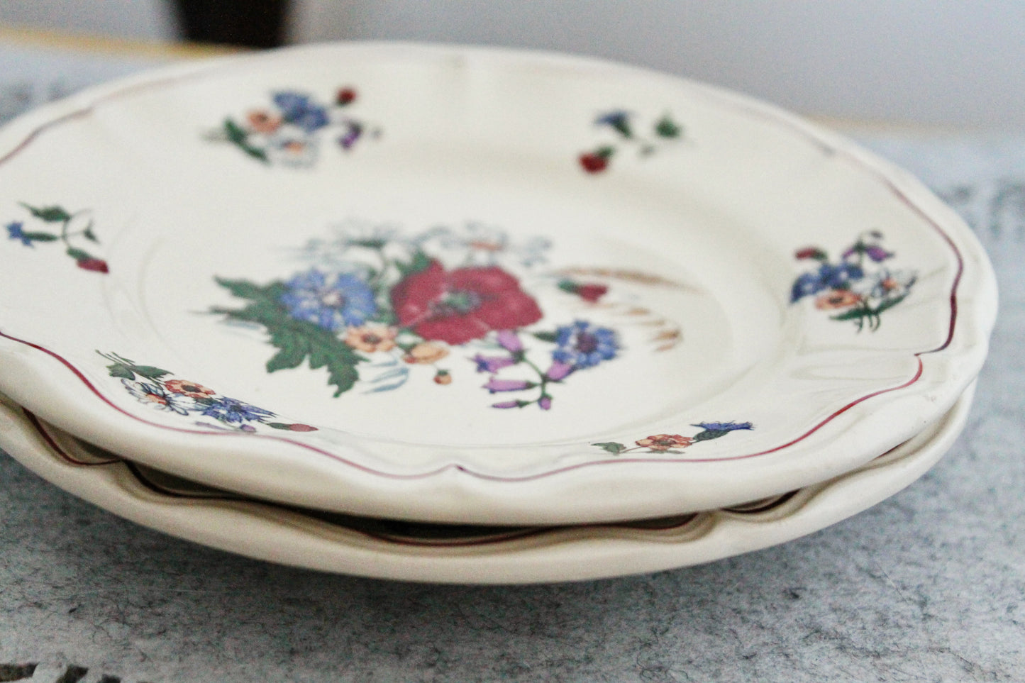 Beautiful vintage ceramic two plates with flowers - French Antique EARTHWARE Plate - Made by Sarreguemines DIGION in "Agreste" Motif - 1920s