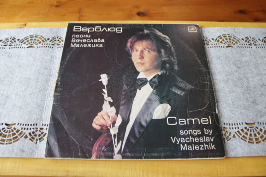 Retro music USSR plate - Vyacheslav Malezhik "Camel", USSR Rare retro records, Gramophone plate, Vintage vinyl - 1988