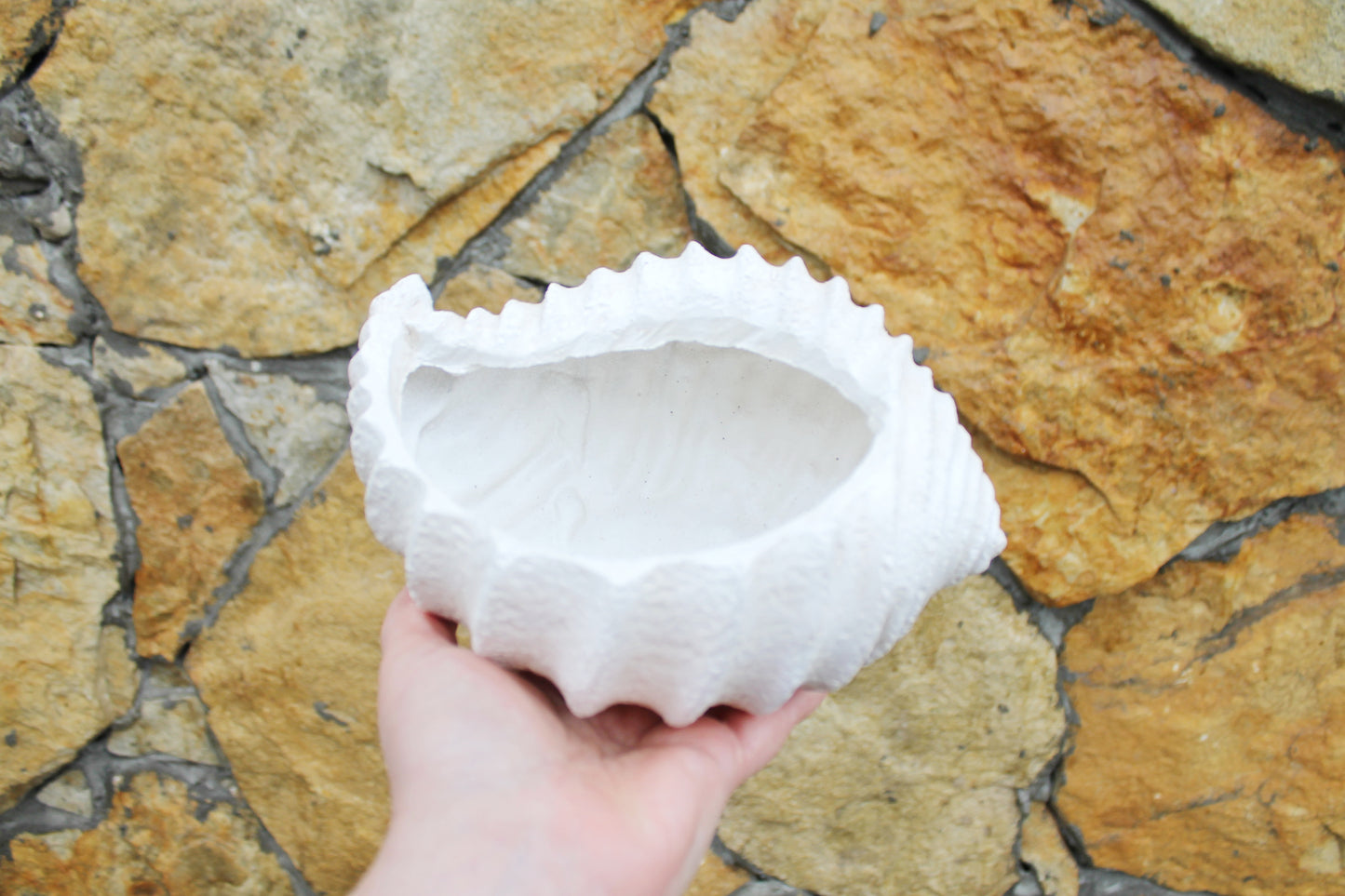 Vintage gypsum candy/fruit bowl/threads bowl in a form of a shell - 8.3 inches - Vase for candies, threads - 2000s