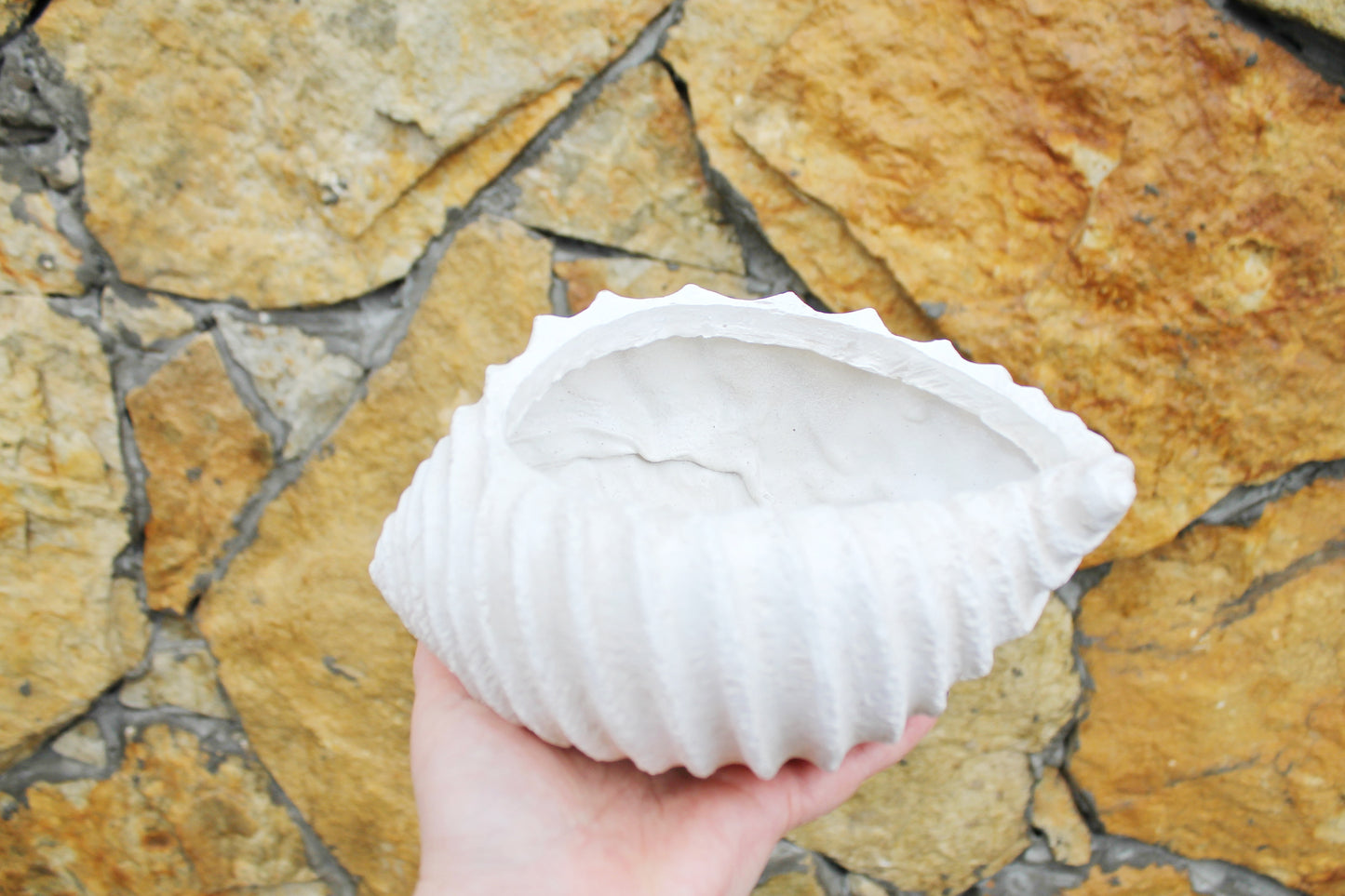 Vintage gypsum candy/fruit bowl/threads bowl in a form of a shell - 8.3 inches - Vase for candies, threads - 2000s