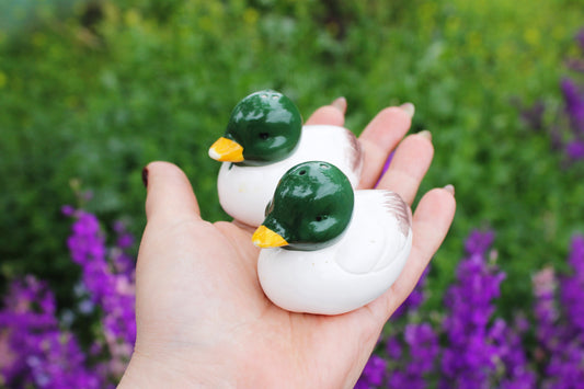 Vintage ceramic Ducks - Salt and Pepper Shakers – Made in Germany - 1970-1980s