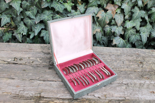 Set of 12 vintage stainless still coffee-tea spoons in original box - vintage ussr kitchen - coffee-tea spoons - 1970s