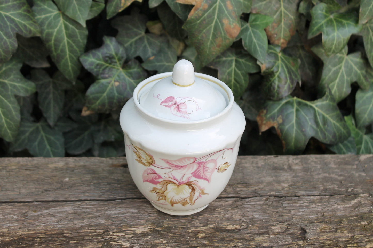 Vintage USSR ceramic sugar bowl from servise  - Baranivka Porcelain Factory - beautiful soviet ceramic sugar bowl - 1970s