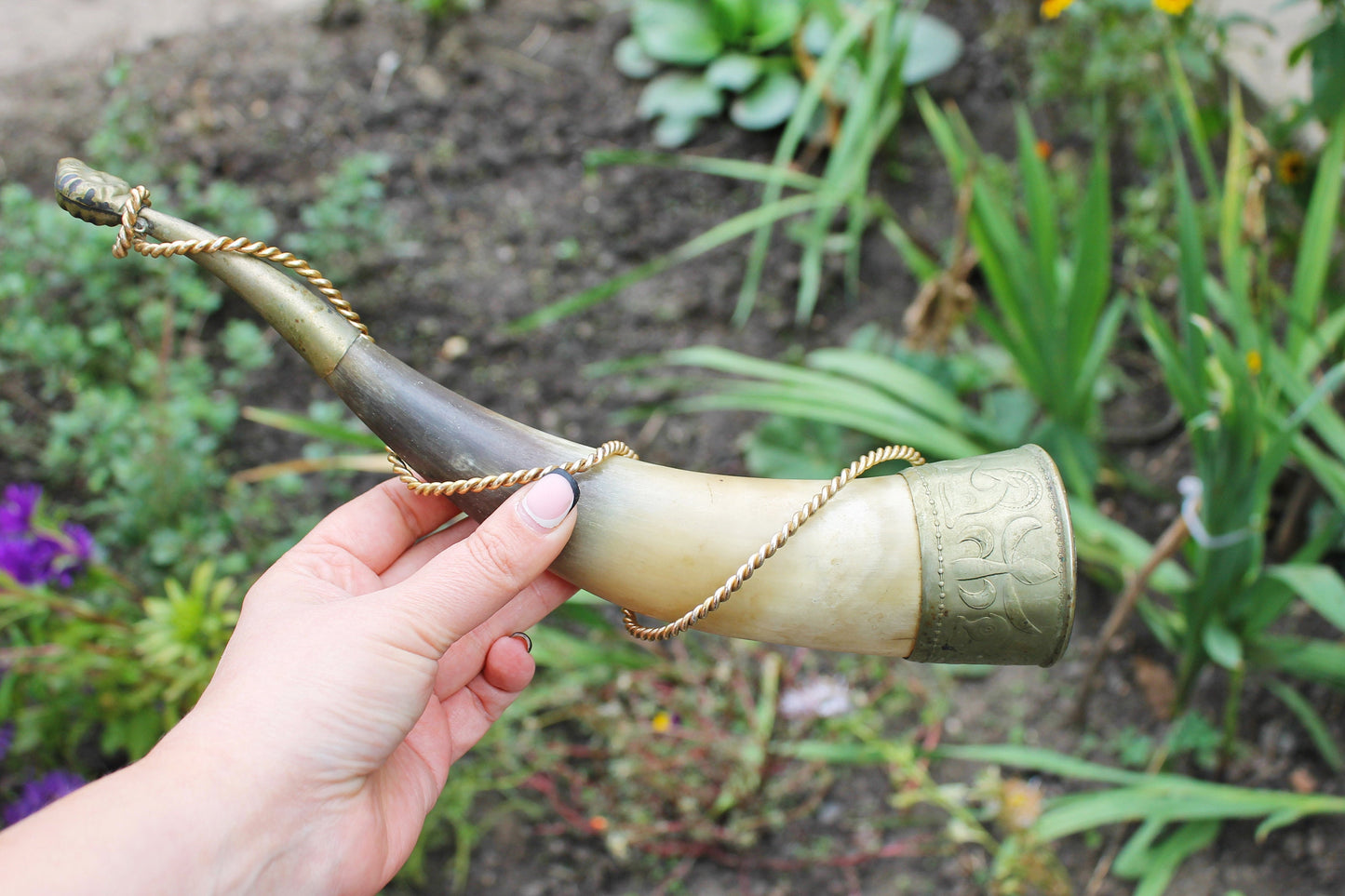 Genuine Cow Horn 12.6 inches long - Viking Wild Drinking Horn - Soviet Horn Collectibles - Horn framed in iron with some decor - 1970s