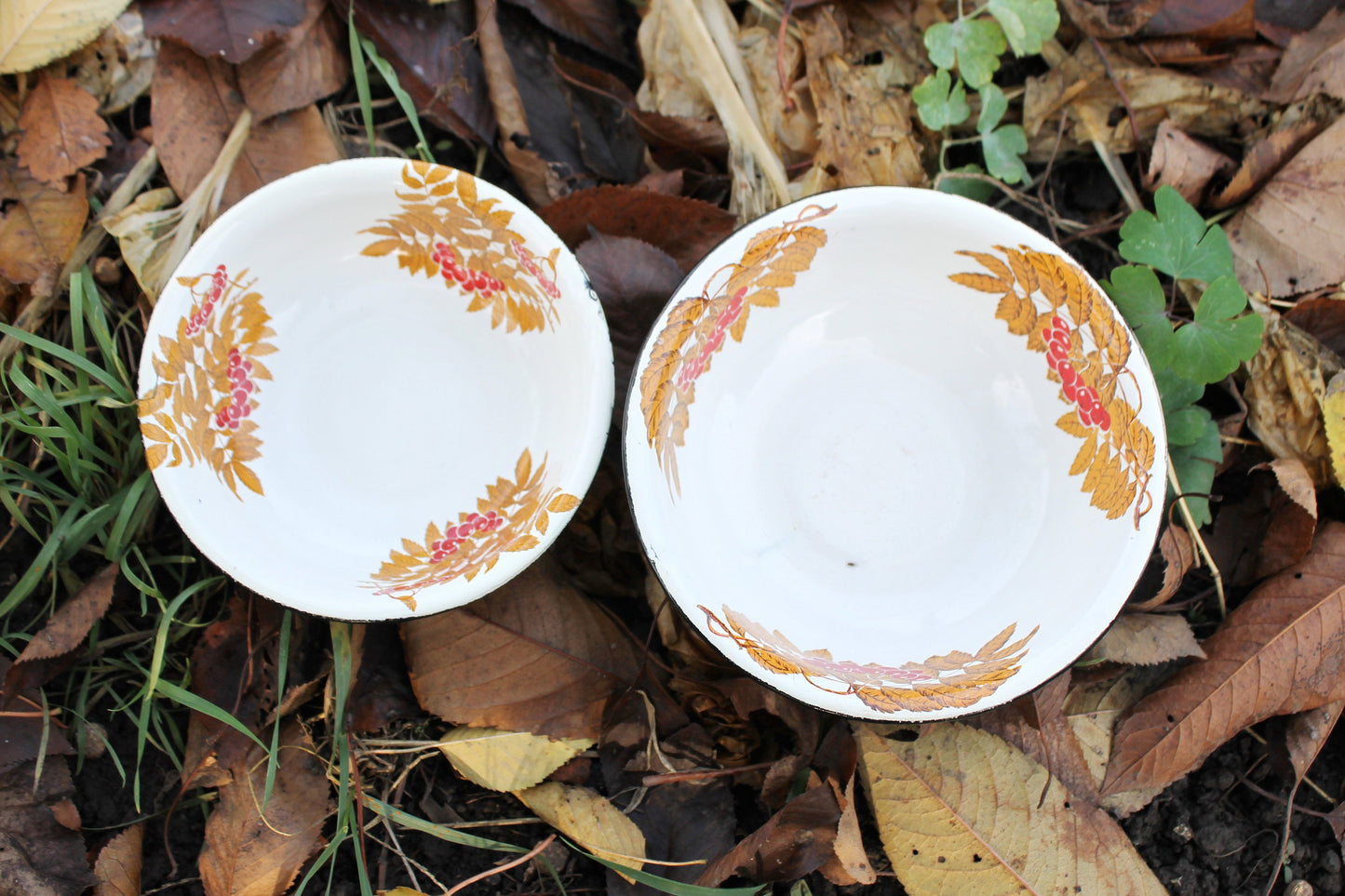 Enamel metal vintage bowls with rowanberry ornament - set of two - USSR vintage bowls - made of enamel metal - 1970s