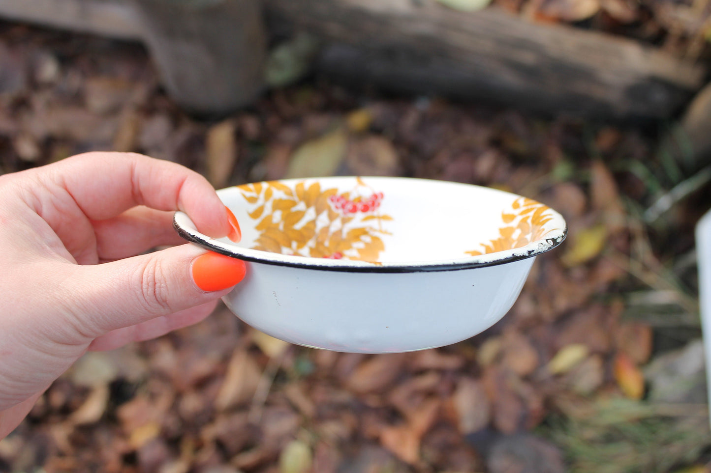 Enamel metal vintage bowls with rowanberry ornament - set of two - USSR vintage bowls - made of enamel metal - 1970s