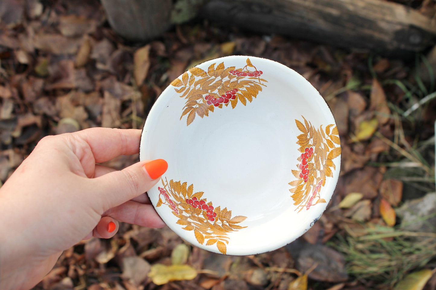 Enamel metal vintage bowls with rowanberry ornament - set of two - USSR vintage bowls - made of enamel metal - 1970s