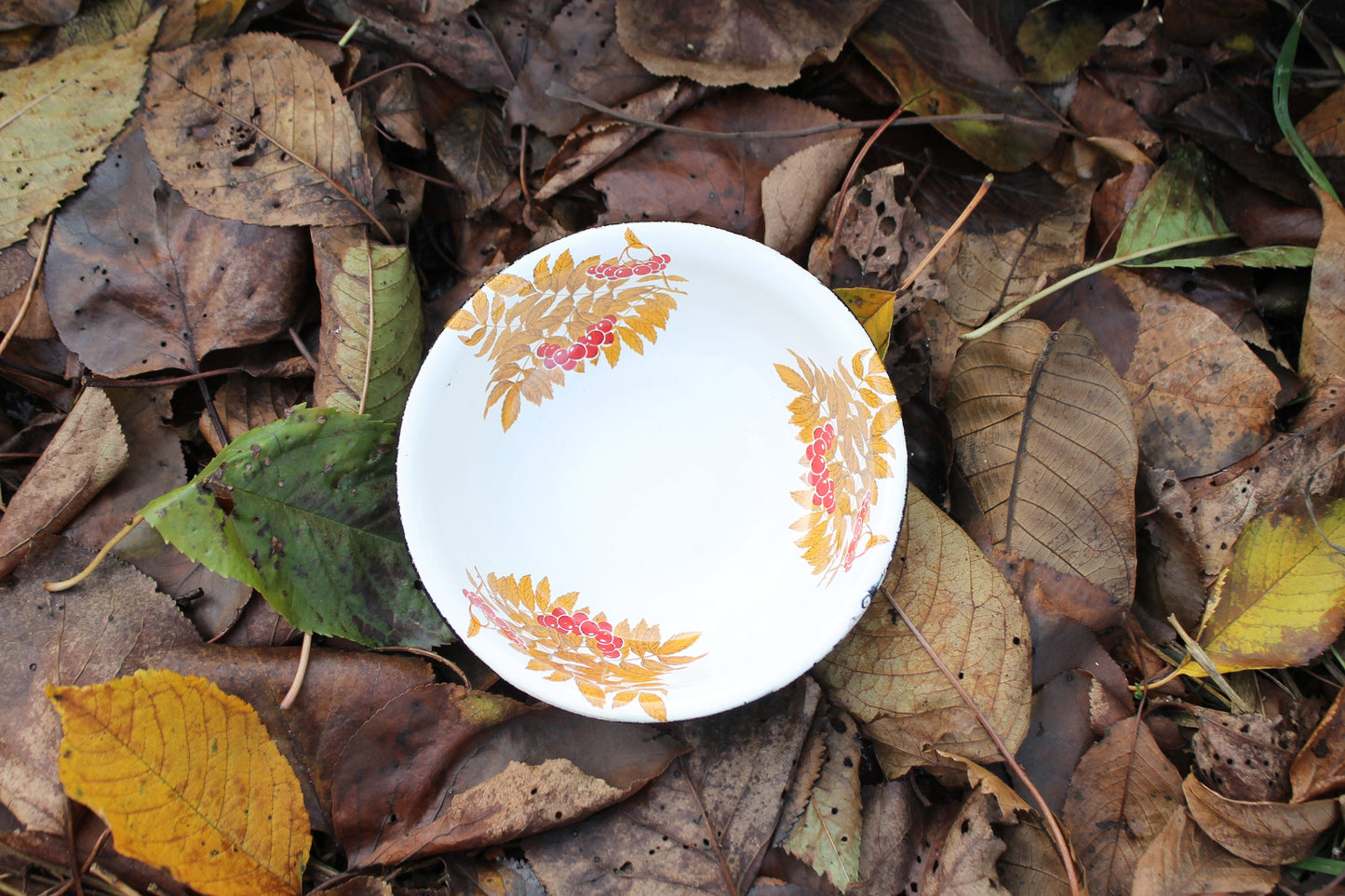 Enamel metal vintage bowls with rowanberry ornament - set of two - USSR vintage bowls - made of enamel metal - 1970s