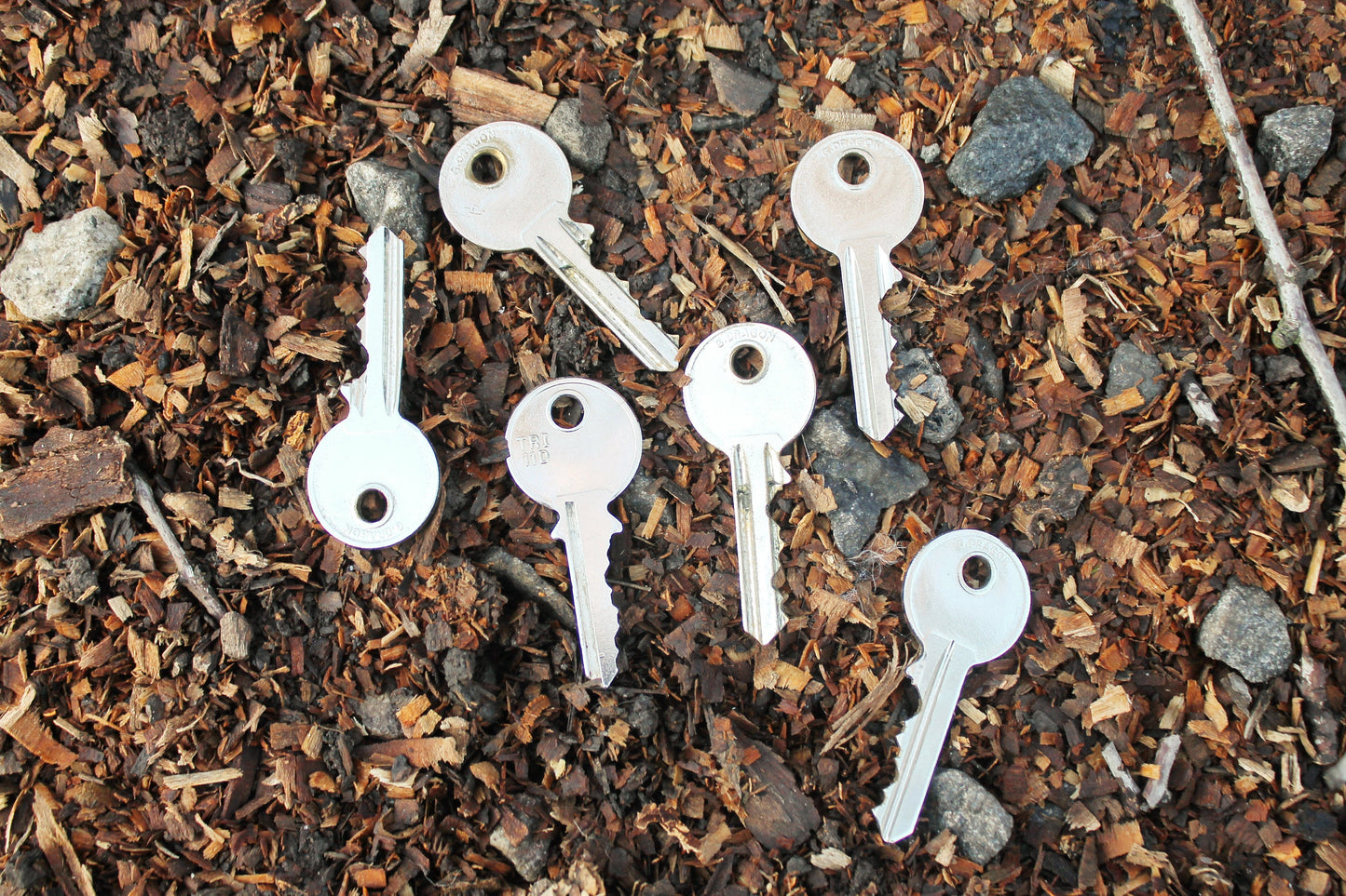 Set of 6 vintage keys - vintage keys, Old rare house keys, Skeleton keys