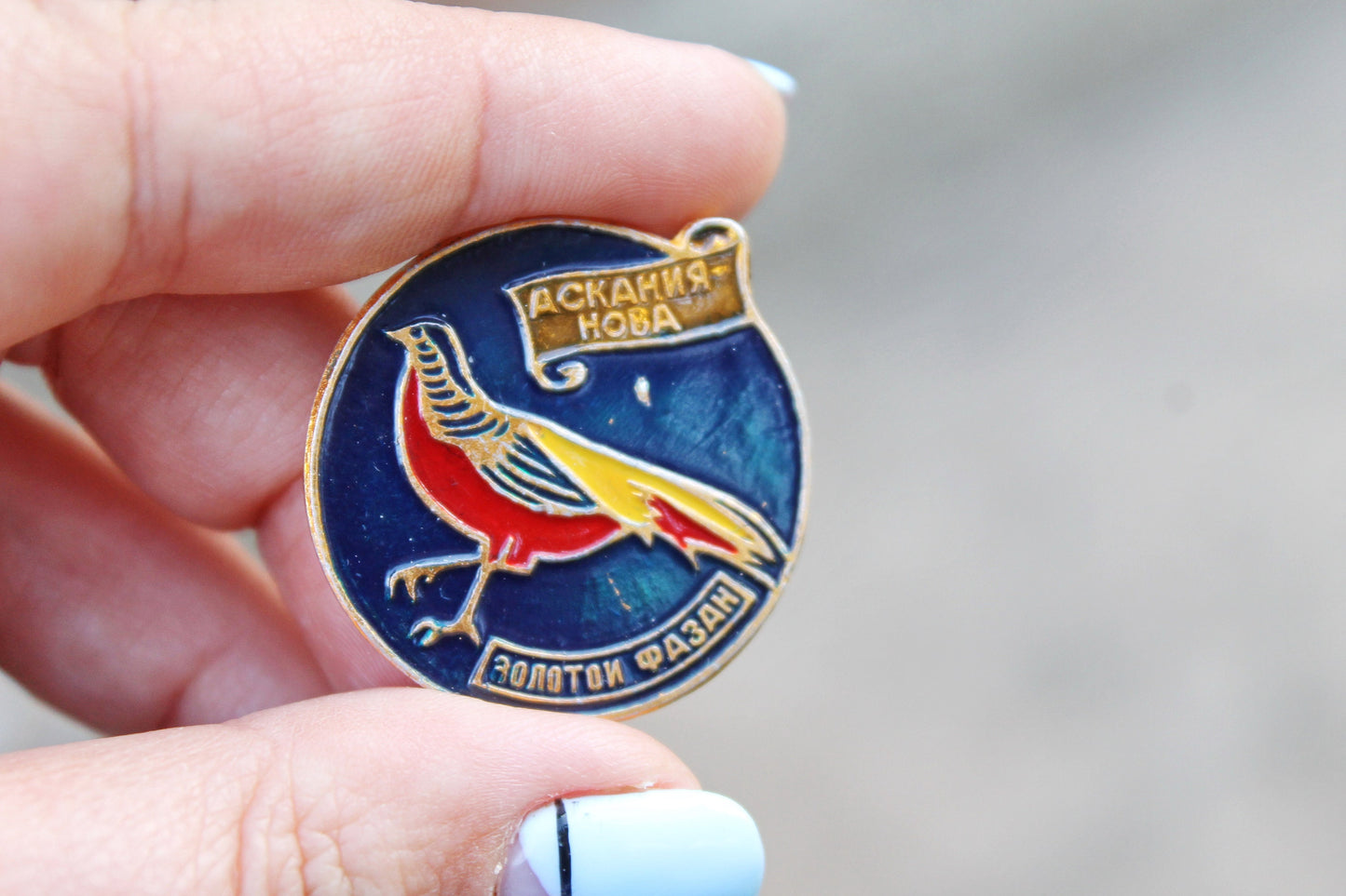 Vintage soviet USSR pin badge - Pheasant - USSR pin - vintage soviet badge - 1980s