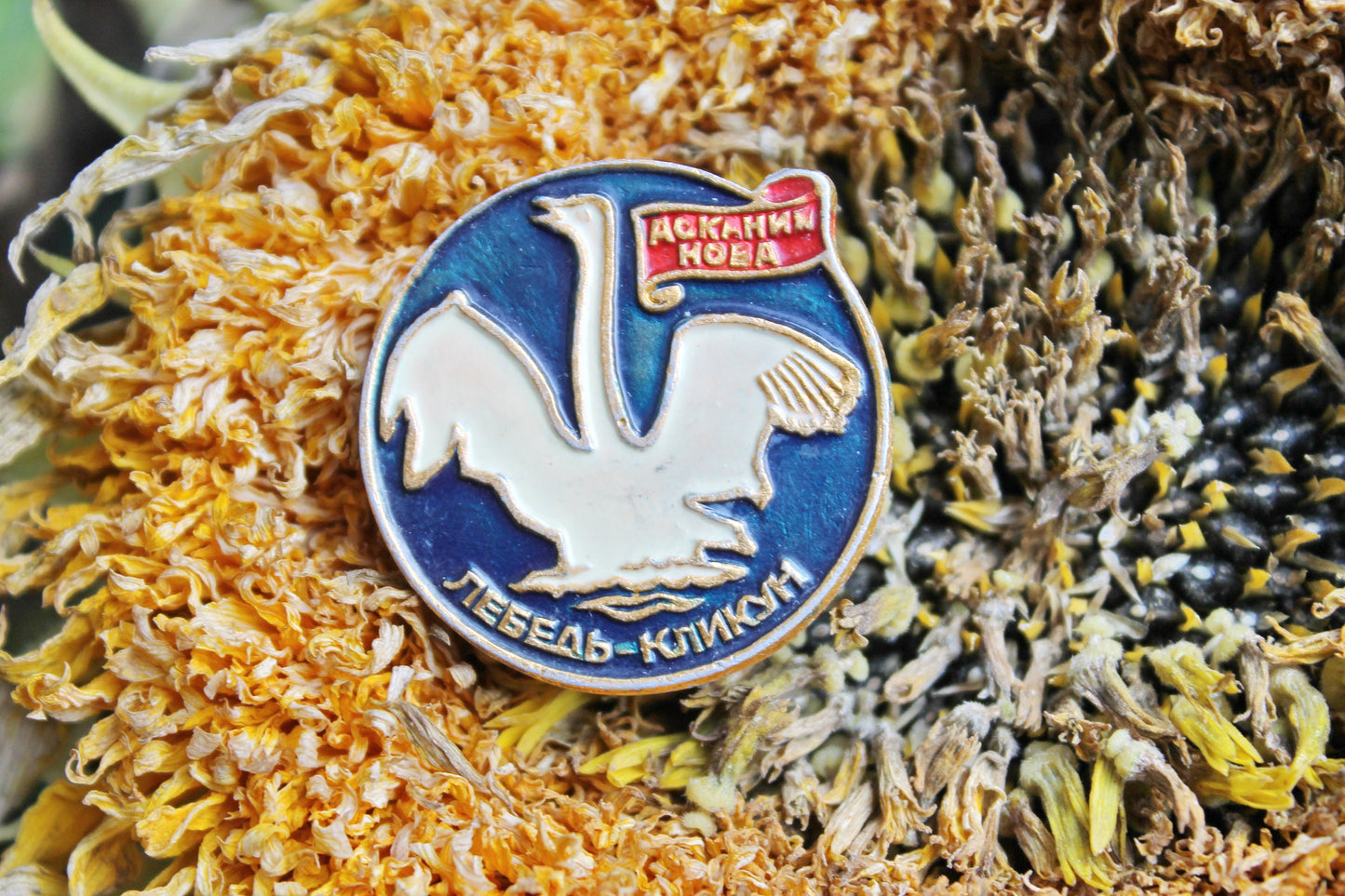 Vintage soviet USSR pin badge - Swan - USSR pin - vintage soviet badge - 1980s