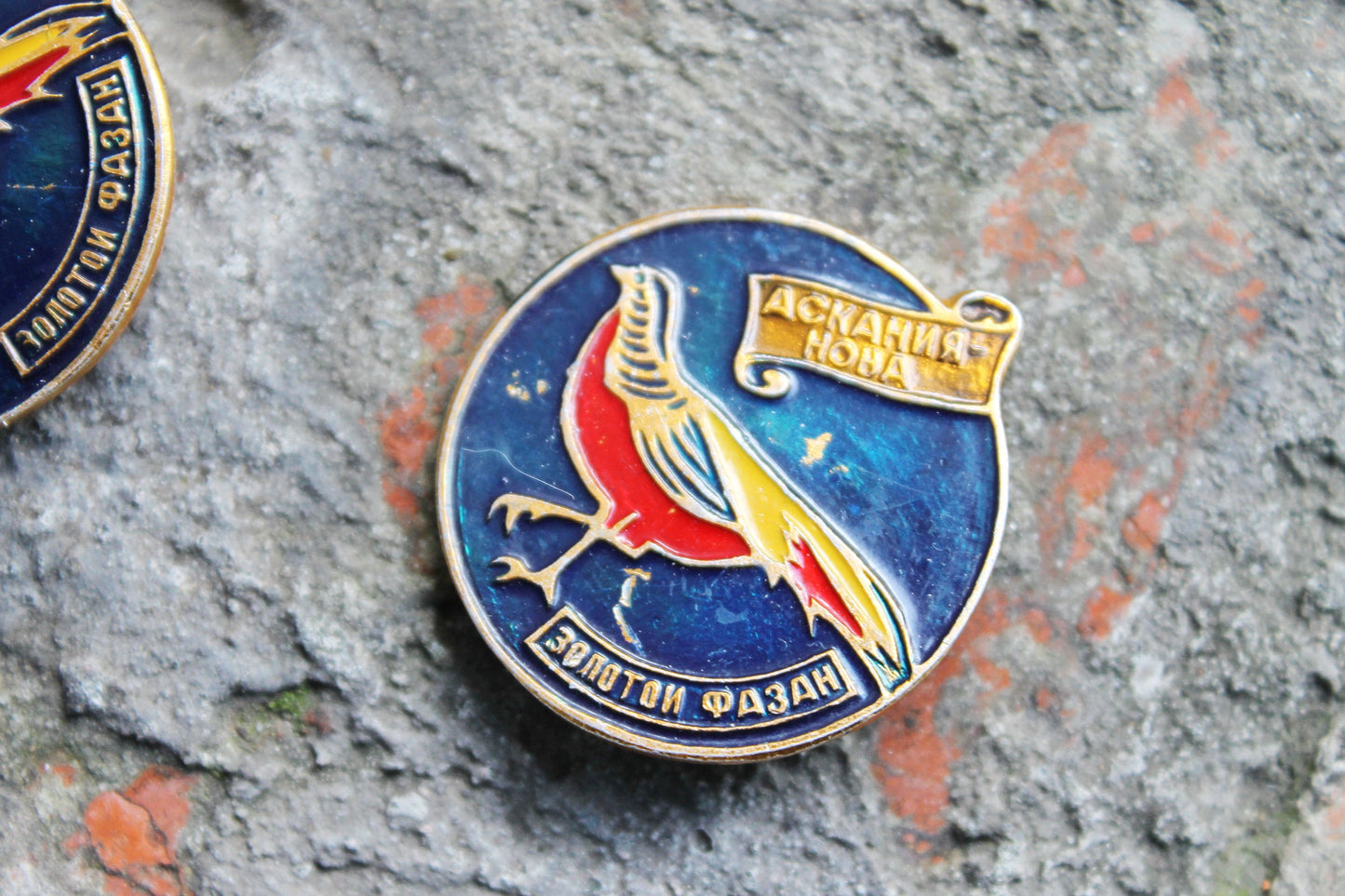 Vintage soviet USSR pin badge - Pheasant - USSR pin - vintage soviet badge - 1980s